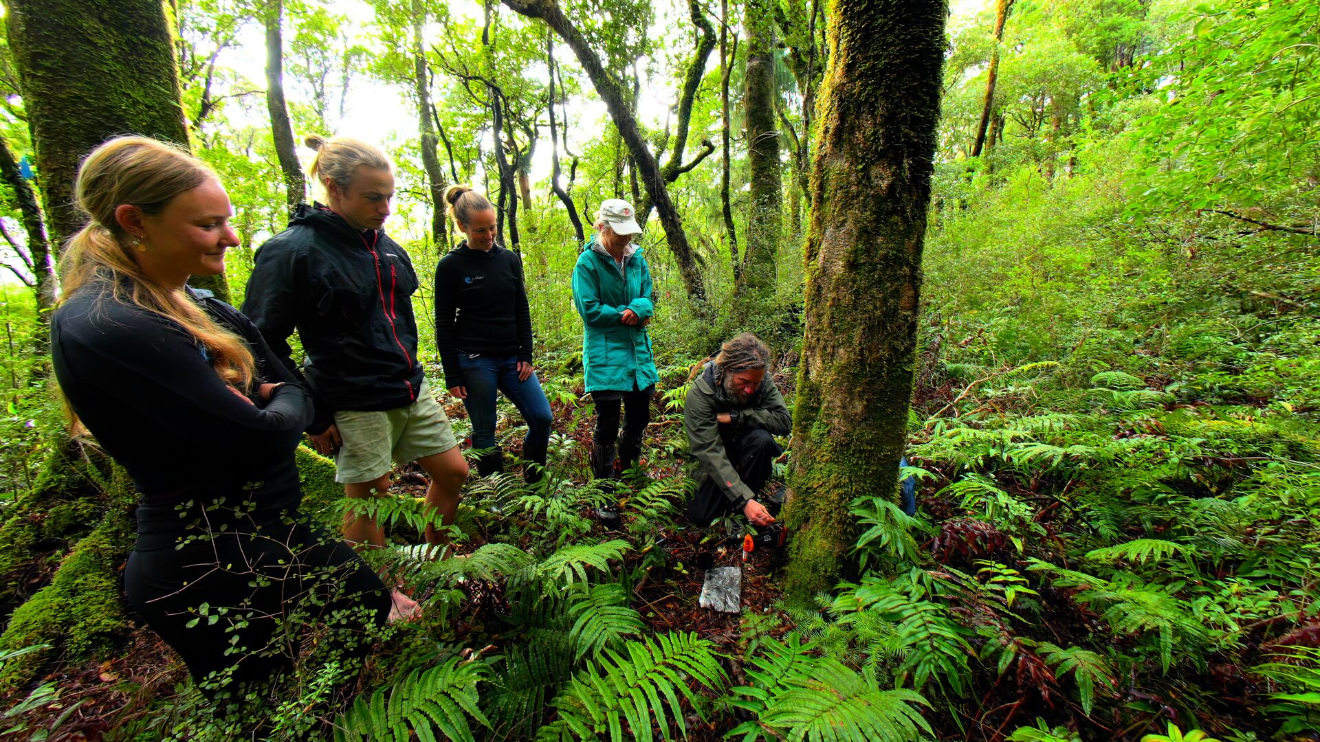 Conservation team setting pest traps