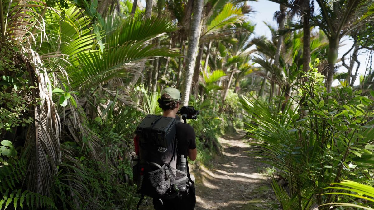 James filming immersive video in New Zealand