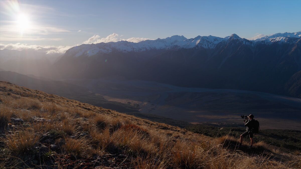 Immersive video experience